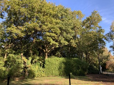 Terrain a batir a vendre Sainte-Anne-d'Auray 56400 Morbihan 582 m2  171690 euros