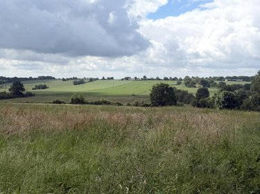 Terrain a batir a vendre La Pouëze 49370 Maine-et-Loire 2203 m2  83840 euros