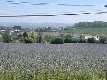 Maison a vendre Ploubazlanec 22620 Côtes-d'Armor 108 m2 7 pièces 270900 euros