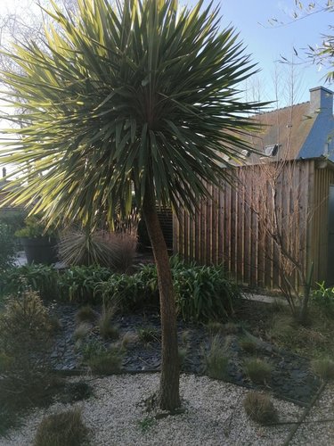 Maison a vendre Larmor-Plage 56260 Morbihan 172 m2  984572 euros