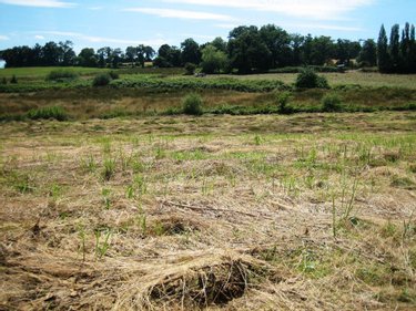 Terrain a batir a vendre Ploërdut 56160 Morbihan 2850 m2  24518 euros