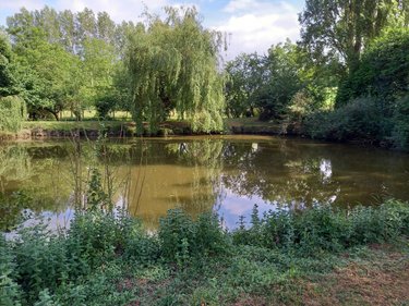 Terrains de loisirs bois etangs a vendre Parçay-sur-Vienne 37220 Indre-et-Loire 7760 m2  23600 euros