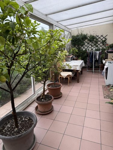 Viager maison Bévillers 59217 Nord 80 m2 4 pièces 35000 euros