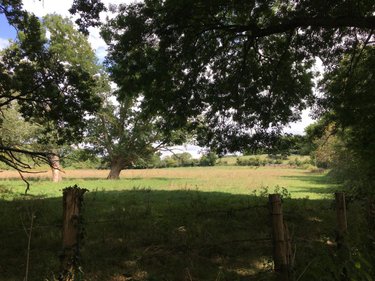 Terrains de loisirs bois etangs a vendre Chevillé 72350 Sarthe 56080 m2  31030 euros