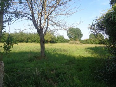 Maison a vendre Gonnehem 62920 Pas-de-Calais 115 m2 5 pièces 353500 euros