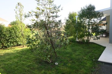 Maison a vendre Saint-Doulchard 18230 Cher 139 m2 6 pièces 400400 euros