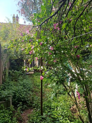 Maison a vendre Rivery 80136 Somme 73 m2 4 pièces 135000 euros