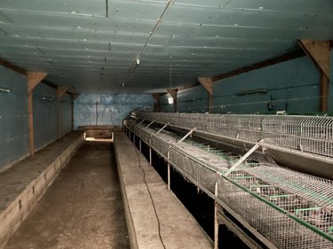 Divers a vendre Plumieux 22210 Côtes-d'Armor 1300 m2  28000 euros