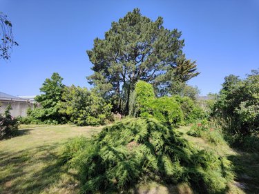 Terrain a batir a vendre Vannes 56000 Morbihan 875 m2  402806 euros