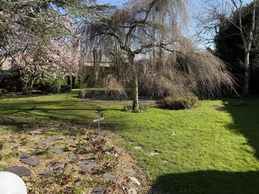 Maison a vendre Solesmes 59730 Nord 376 m2 21 pièces 256760 euros
