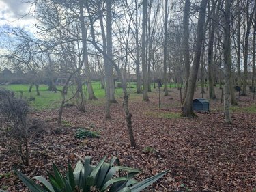 Maison a vendre Andres 62340 Pas-de-Calais 290 m2 5 pièces 364100 euros