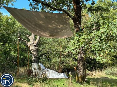 Maison a vendre Argentré 53210 Mayenne 287 m2  322400 euros