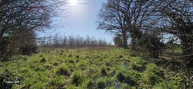 Terrains de loisirs bois etangs a vendre Freigné 44540 Loire-Atlantique 20950 m2  17400 euros