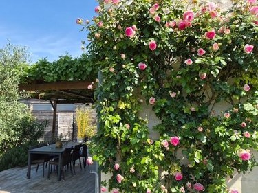 Maison a vendre Chinon 37500 Indre-et-Loire 224 m2  456800 euros