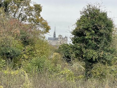 Terrain a batir a vendre Amiens 80000 Somme 6663 m2  231000 euros