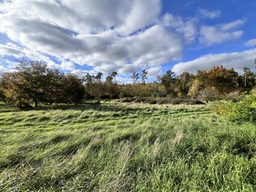 Terrain a batir a vendre Noyers-sur-Cher 41140 Loir-et-Cher 1300 m2  23000 euros