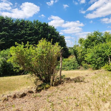 Maison a vendre Lamnay 72320 Sarthe 72 m2 3 pièces 63600 euros