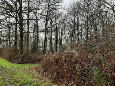 Terrains de loisirs bois etangs a vendre Étriché 49330 Maine-et-Loire 9080 m2  6890 euros