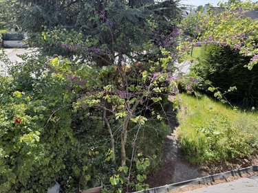 Maison a vendre La Trinité-Surzur 56190 Morbihan 104 m2 5 pièces 280665 euros