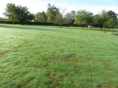Terrain a batir a vendre Château-Gontier-sur-Mayenne 53200 Mayenne 1850 m2  129000 euros