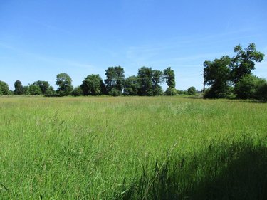 Terrain a batir a vendre Carhaix-Plouguer 29270 Finistère 9635 m2  63600 euros