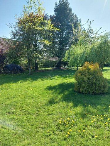 Maison a vendre Izel lès Hameau 62690 Pas-de-Calais 205 m2 8 pièces 318000 euros