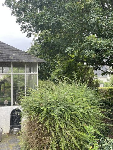 Maison a vendre Gourin 56110 Morbihan 85 m2  136036 euros