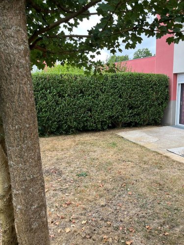 Location maison Betton 35830 Ille-et-Vilaine 92 m2 5 pièces 1004 euros
