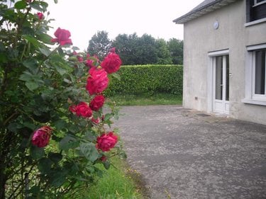 Location maison Rennes 35000 Ille-et-Vilaine 83 m2 4 pièces 685 euros