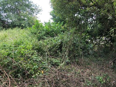 Terrain a batir a vendre Andouillé-Neuville 35250 Ille-et-Vilaine 560 m2  55000 euros