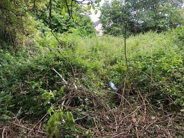 Terrain a batir a vendre Andouillé-Neuville 35250 Ille-et-Vilaine 560 m2  55000 euros