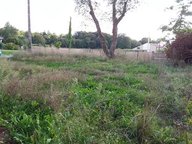 Maison a vendre Bazouges-la-Pérouse 35560 Ille-et-Vilaine 125 m2 2 pièces 60000 euros