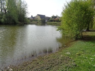 Terrains de loisirs bois etangs a vendre Annezin 62232 Pas-de-Calais 7918 m2  136500 euros