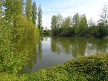 Terrains de loisirs bois etangs a vendre Annezin 62232 Pas-de-Calais 7918 m2  136500 euros