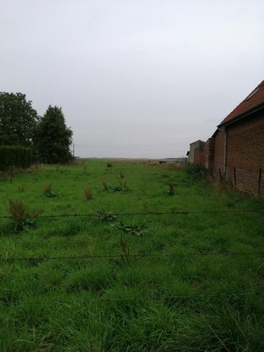 Terrain a batir a vendre Rocquigny 62450 Pas-de-Calais 2643 m2  31800 euros