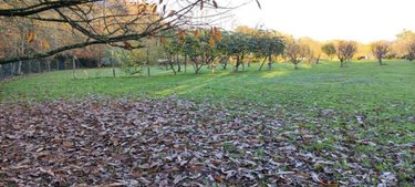 Maison a vendre Le Theil-de-Bretagne 35240 Ille-et-Vilaine 160 m2 7 pièces 374600 euros