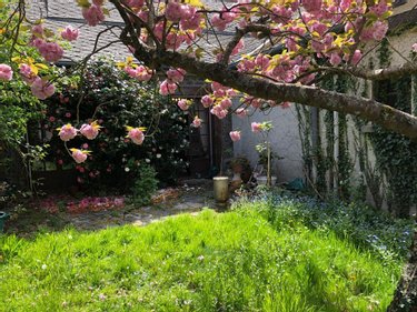 Maison a vendre Québriac 35190 Ille-et-Vilaine 240 m2 8 pièces 222600 euros