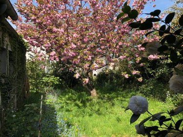 Maison a vendre Québriac 35190 Ille-et-Vilaine 240 m2 8 pièces 222600 euros