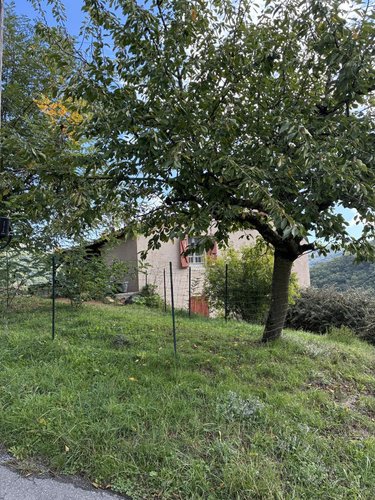 Maison a vendre Saint-Izaire 12480 Aveyron 98 m2 4 pièces 124900 euros