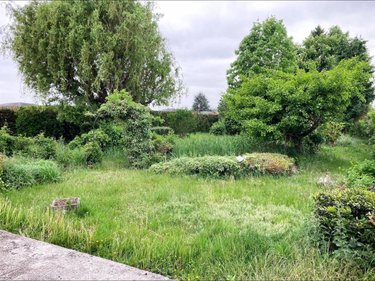 Maison a vendre Violaines 62138 Pas-de-Calais 157 m2 5 pièces 279760 euros