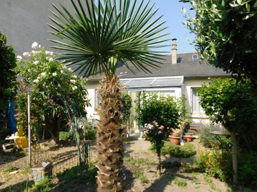 Maison a vendre Angers 49000 Maine-et-Loire 67 m2 3 pièces 312000 euros