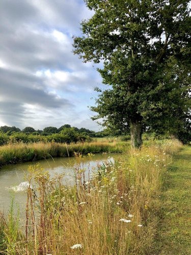 Terrains de loisirs bois etangs a vendre Parcé-sur-Sarthe 72300 Sarthe 7885 m2  74900 euros