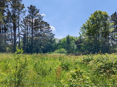 Immeuble a vendre Plounéour-Ménez 29410 Finistère 637 m2  255000 euros