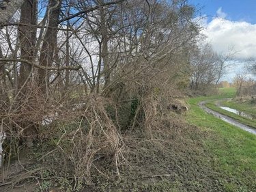 Terrains de loisirs bois etangs a vendre Cuves 50670 Manche 4900 m2  5300 euros