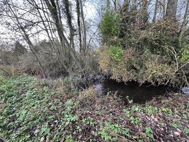 Terrains de loisirs bois etangs a vendre Méricourt-sur-Somme 80340 Somme 1768 m2  13000 euros