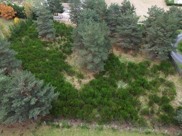 Terrain a batir a vendre Saint-Chély-d'Apcher 48200 Lozère 4849 m2  99000 euros