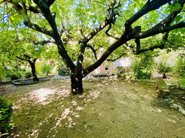 Maison a vendre Restinclières 34160 Hérault 124 m2 4 pièces 396000 euros