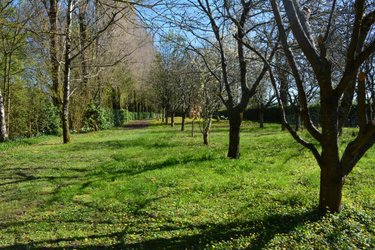 Terrains de loisirs bois etangs a vendre Bouère 53290 Mayenne 16370 m2  85600 euros