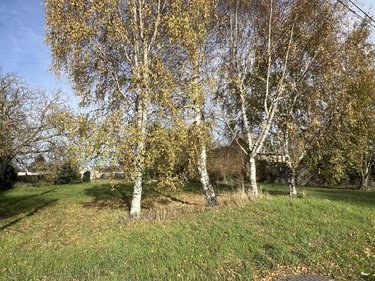 Terrain a batir a vendre Binas 41240 Loir-et-Cher 1430 m2  28000 euros