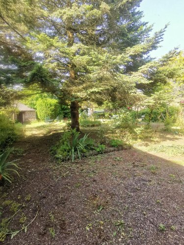 Maison a vendre Montfort-sur-Meu 35160 Ille-et-Vilaine 262 m2 17 pièces 419200 euros